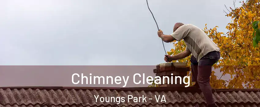 Chimney Cleaning Youngs Park - VA