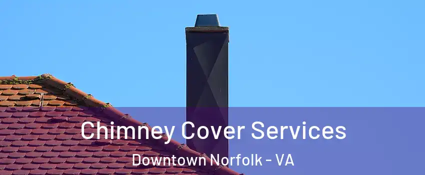 Chimney Cover Services Downtown Norfolk - VA