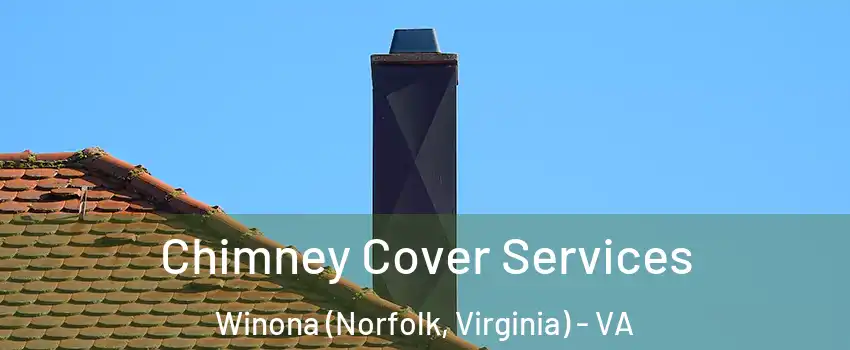 Chimney Cover Services Winona (Norfolk, Virginia) - VA