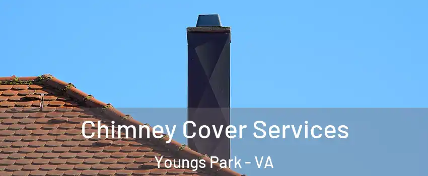 Chimney Cover Services Youngs Park - VA