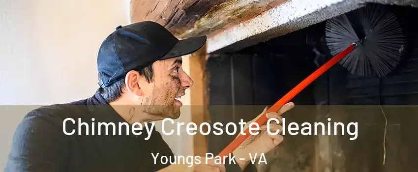 Chimney Creosote Cleaning Youngs Park - VA