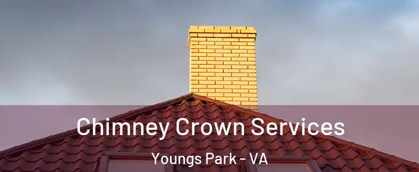 Chimney Crown Services Youngs Park - VA