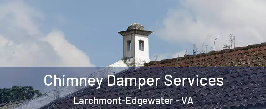Chimney Damper Services Larchmont-Edgewater - VA