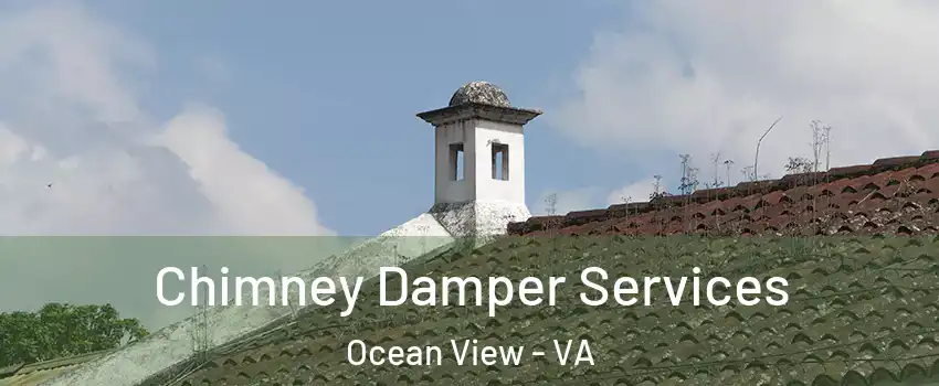 Chimney Damper Services Ocean View - VA