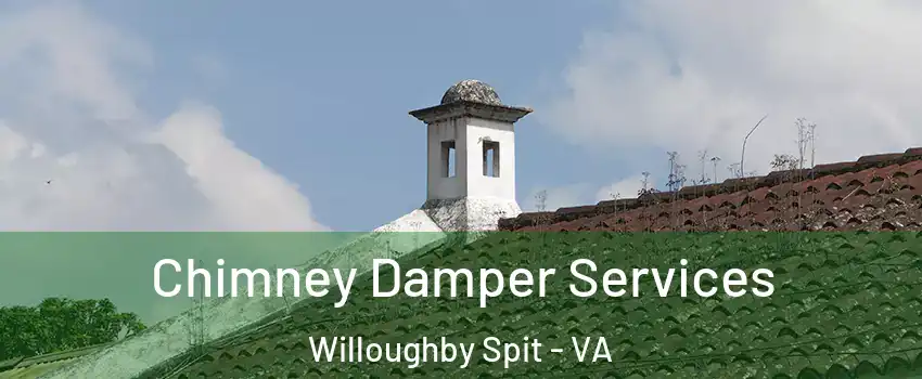 Chimney Damper Services Willoughby Spit - VA
