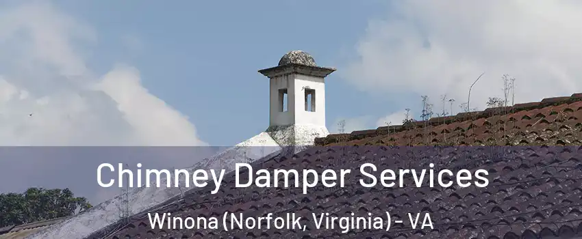 Chimney Damper Services Winona (Norfolk, Virginia) - VA