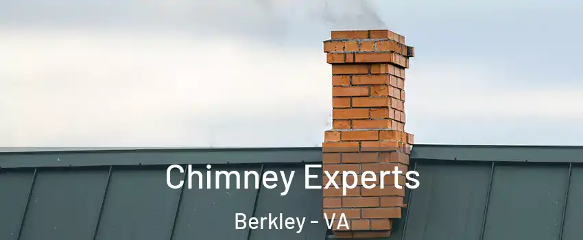 Chimney Experts Berkley - VA