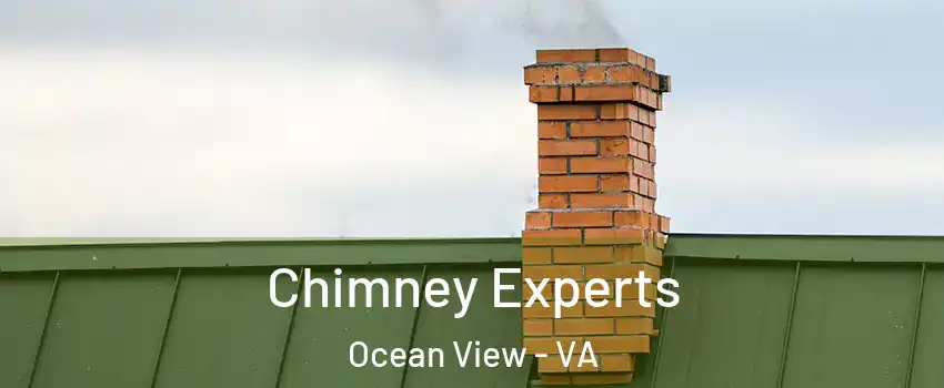Chimney Experts Ocean View - VA
