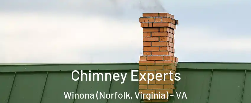 Chimney Experts Winona (Norfolk, Virginia) - VA