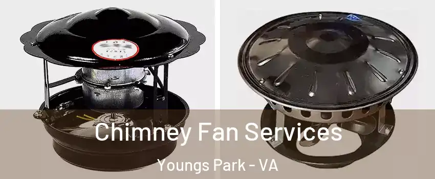 Chimney Fan Services Youngs Park - VA