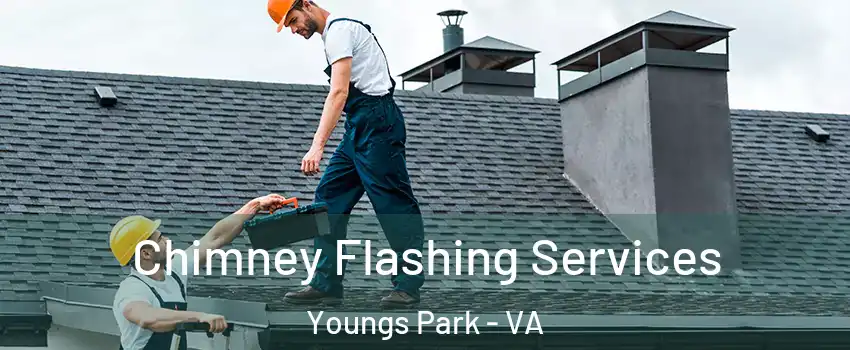 Chimney Flashing Services Youngs Park - VA
