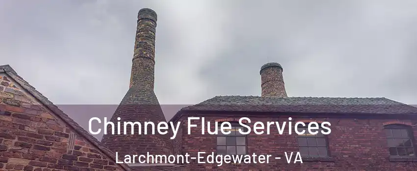 Chimney Flue Services Larchmont-Edgewater - VA