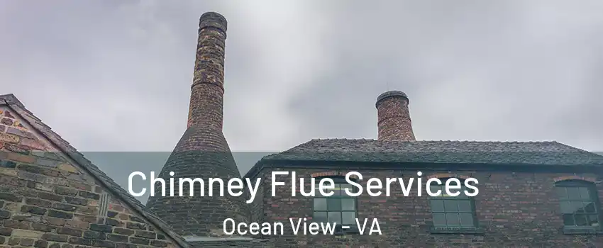 Chimney Flue Services Ocean View - VA