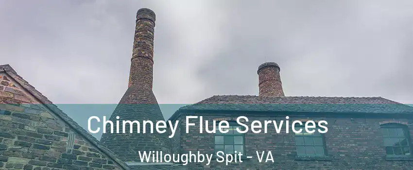Chimney Flue Services Willoughby Spit - VA