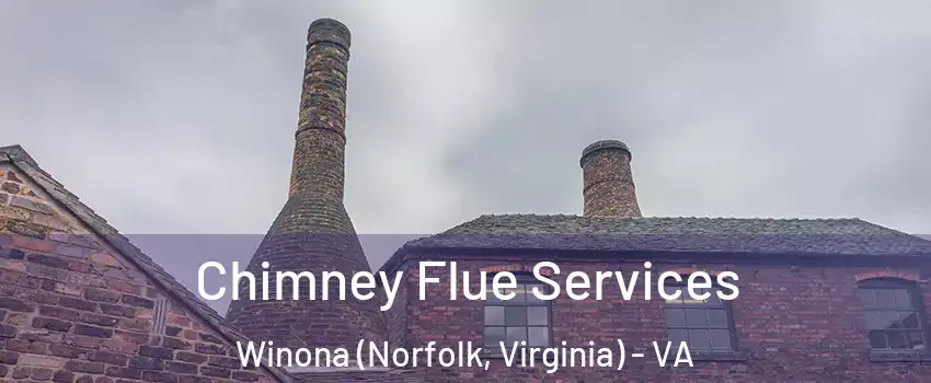 Chimney Flue Services Winona (Norfolk, Virginia) - VA