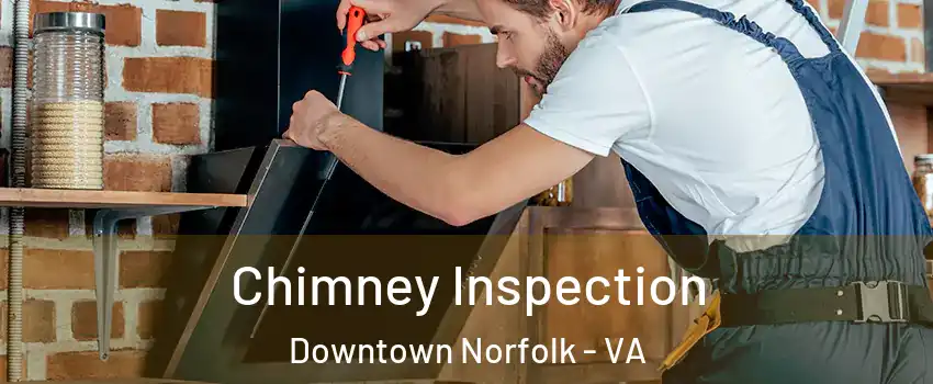 Chimney Inspection Downtown Norfolk - VA