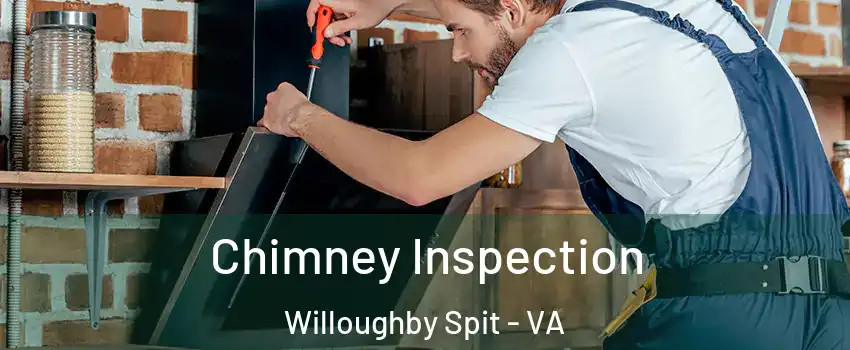 Chimney Inspection Willoughby Spit - VA