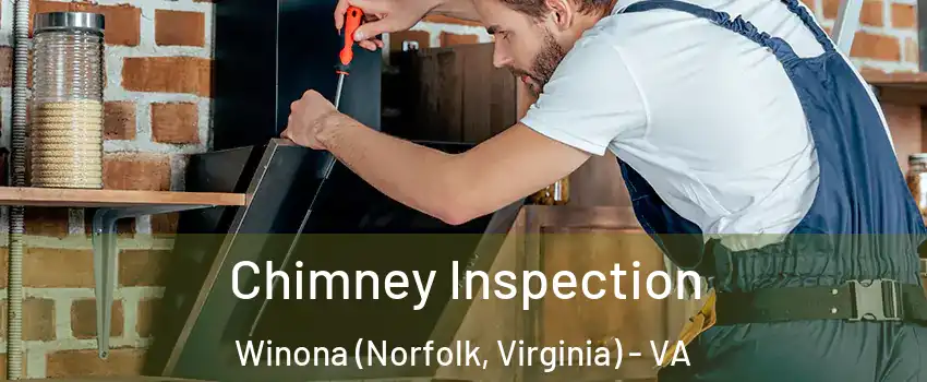 Chimney Inspection Winona (Norfolk, Virginia) - VA