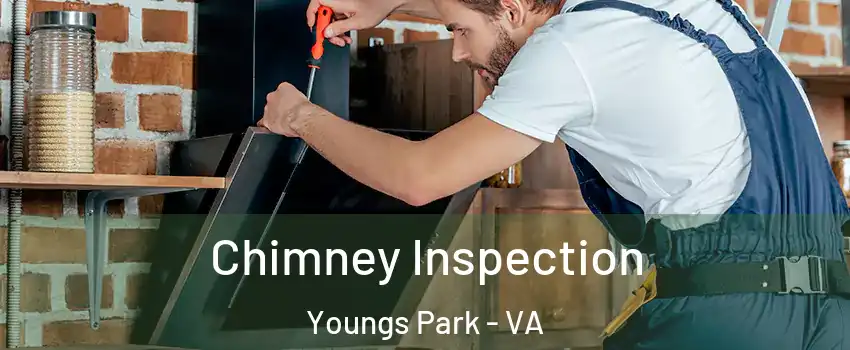 Chimney Inspection Youngs Park - VA
