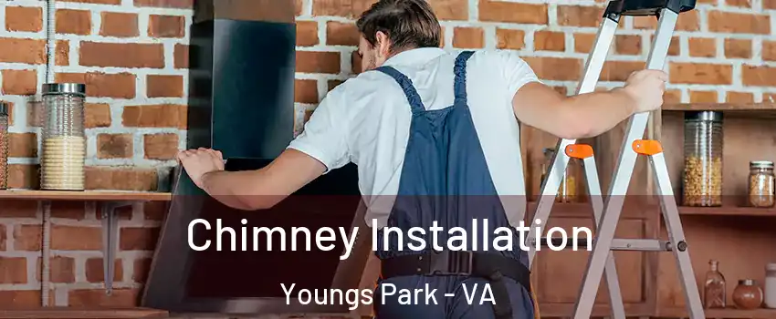 Chimney Installation Youngs Park - VA