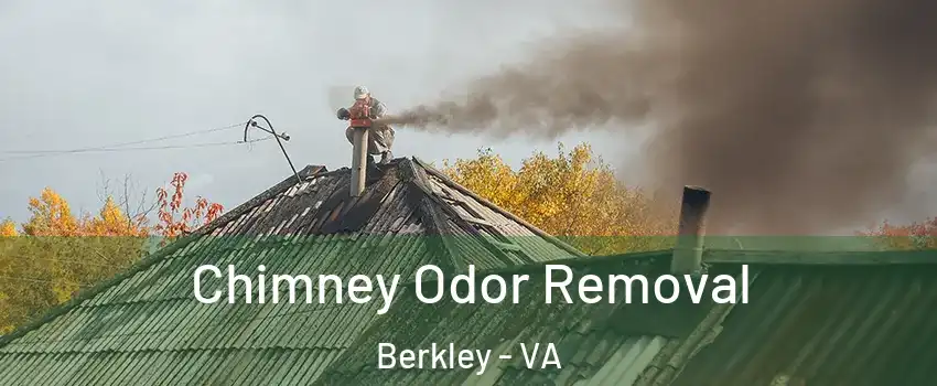Chimney Odor Removal Berkley - VA