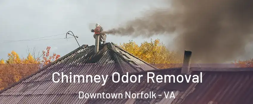 Chimney Odor Removal Downtown Norfolk - VA