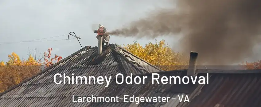 Chimney Odor Removal Larchmont-Edgewater - VA