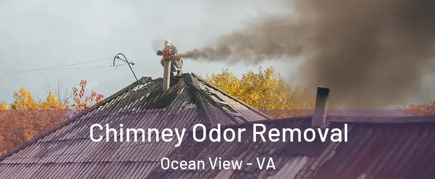 Chimney Odor Removal Ocean View - VA