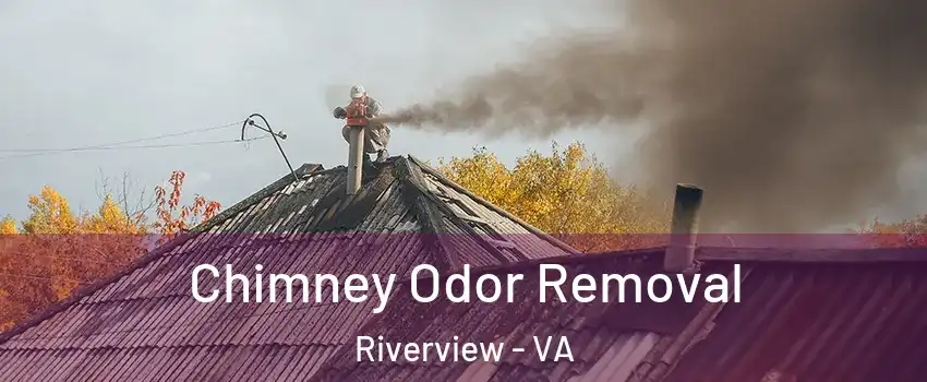 Chimney Odor Removal Riverview - VA