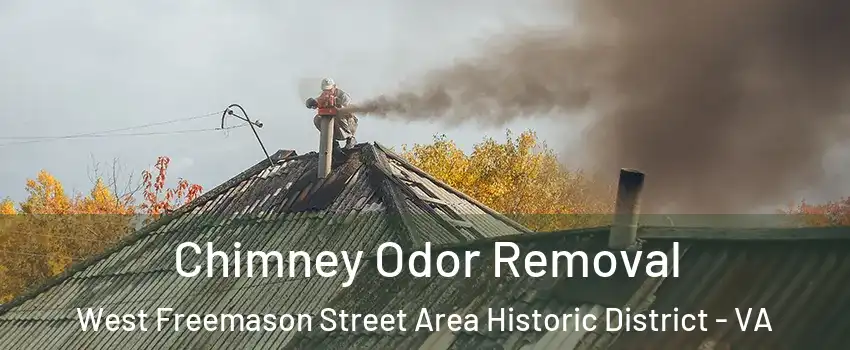 Chimney Odor Removal West Freemason Street Area Historic District - VA