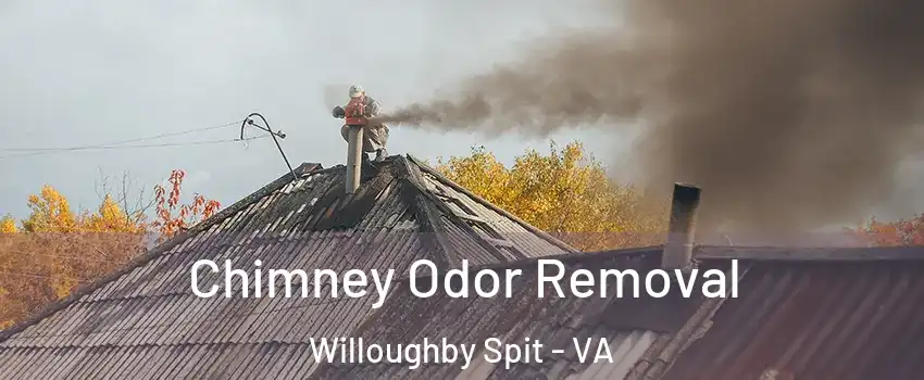 Chimney Odor Removal Willoughby Spit - VA
