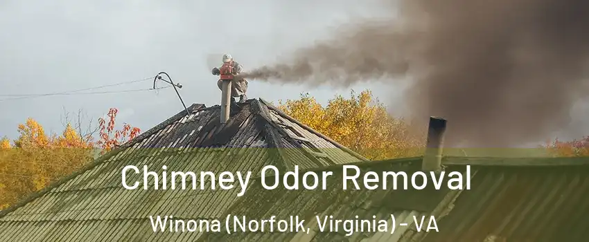 Chimney Odor Removal Winona (Norfolk, Virginia) - VA