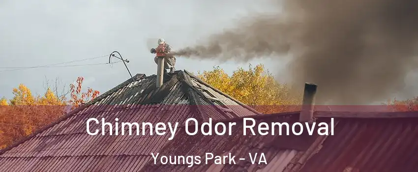 Chimney Odor Removal Youngs Park - VA