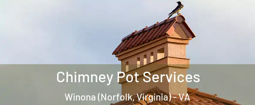 Chimney Pot Services Winona (Norfolk, Virginia) - VA