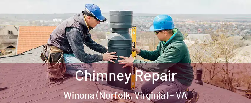 Chimney Repair Winona (Norfolk, Virginia) - VA