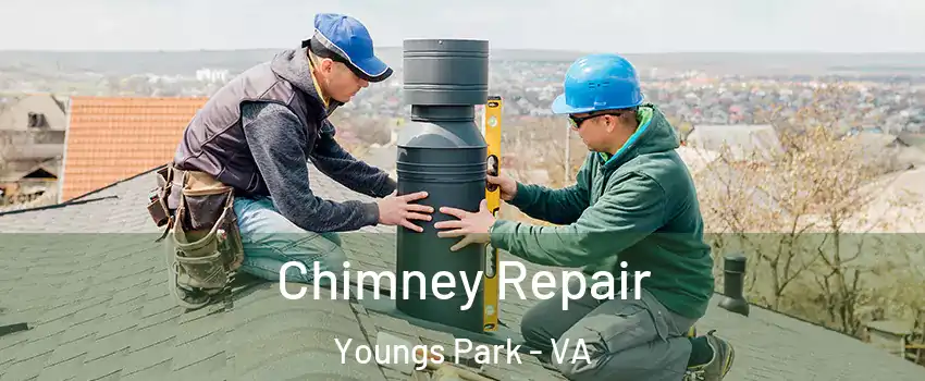 Chimney Repair Youngs Park - VA