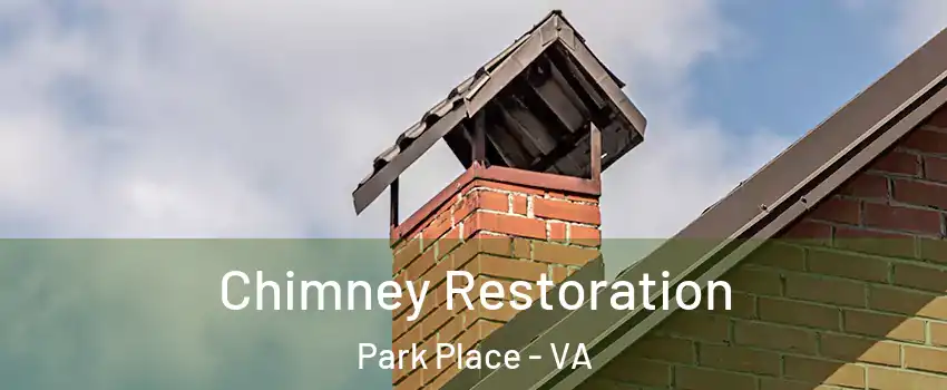 Chimney Restoration Park Place - VA