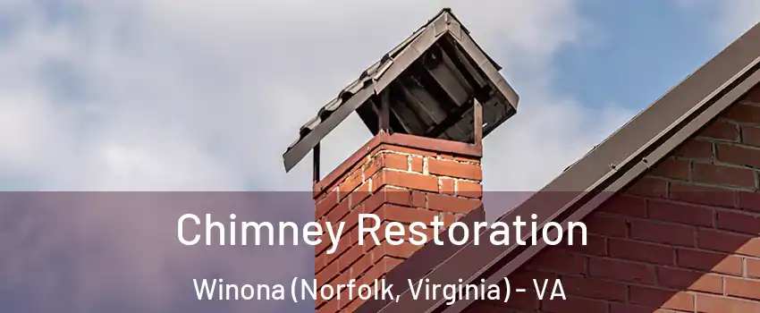 Chimney Restoration Winona (Norfolk, Virginia) - VA
