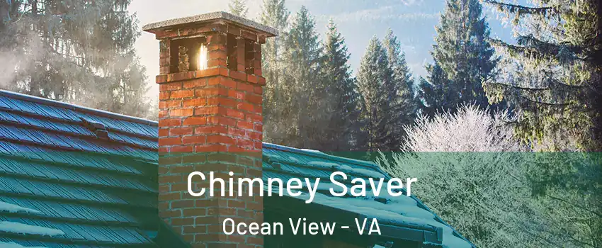 Chimney Saver Ocean View - VA