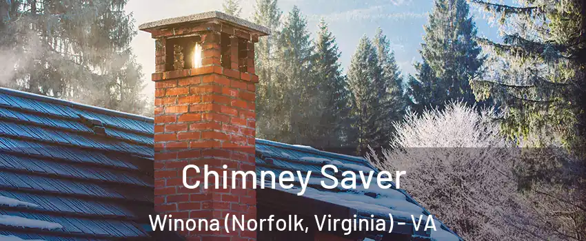 Chimney Saver Winona (Norfolk, Virginia) - VA