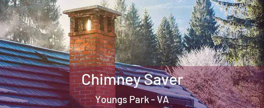 Chimney Saver Youngs Park - VA