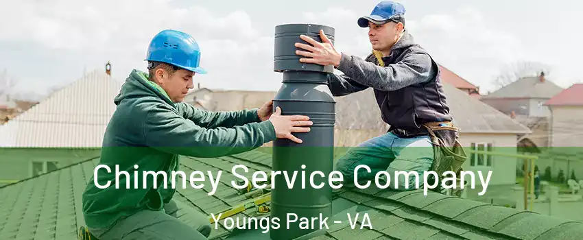 Chimney Service Company Youngs Park - VA