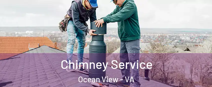 Chimney Service Ocean View - VA