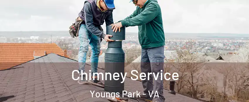 Chimney Service Youngs Park - VA