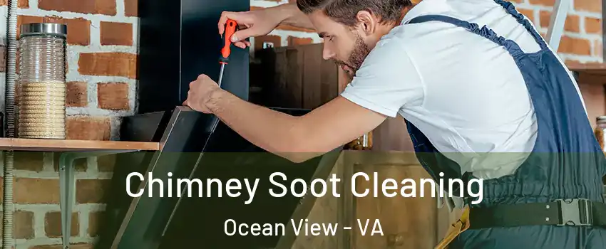 Chimney Soot Cleaning Ocean View - VA