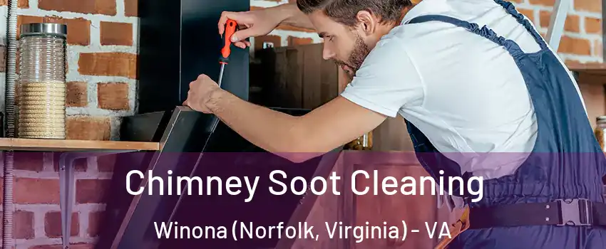 Chimney Soot Cleaning Winona (Norfolk, Virginia) - VA