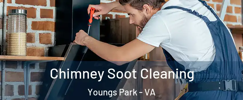 Chimney Soot Cleaning Youngs Park - VA