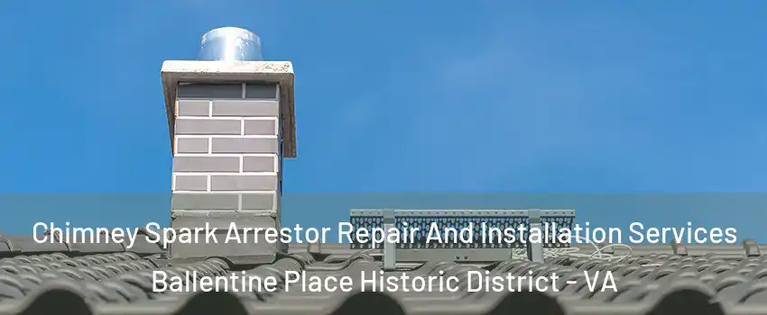 Chimney Spark Arrestor Repair And Installation Services Ballentine Place Historic District - VA