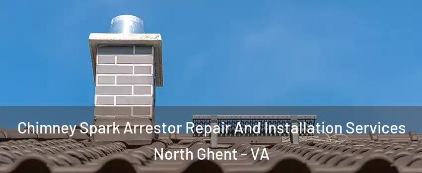 Chimney Spark Arrestor Repair And Installation Services North Ghent - VA