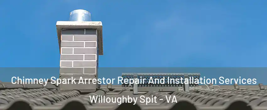 Chimney Spark Arrestor Repair And Installation Services Willoughby Spit - VA